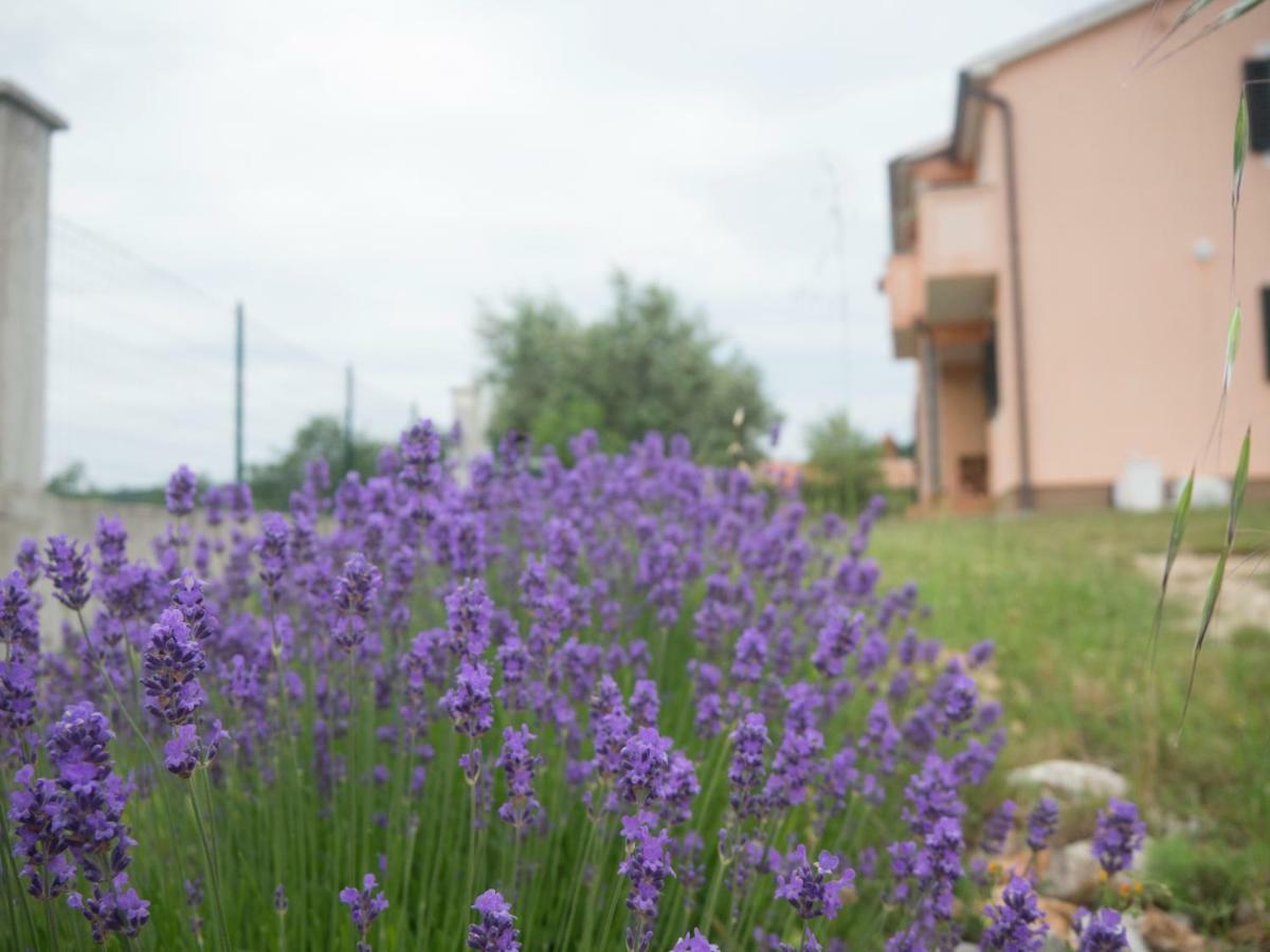 Apartment Lavandula Labin  Exteriér fotografie